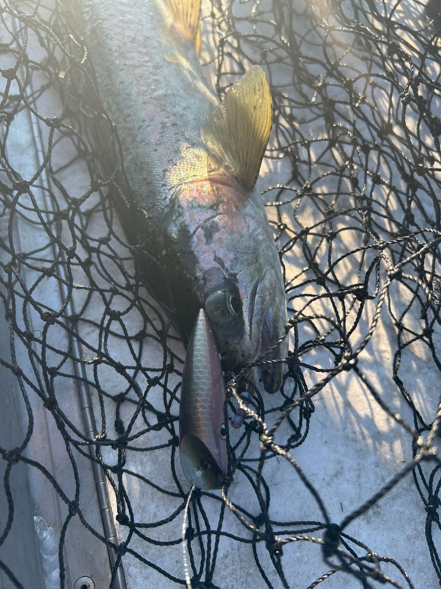 Disco Tackleworks Gift Card