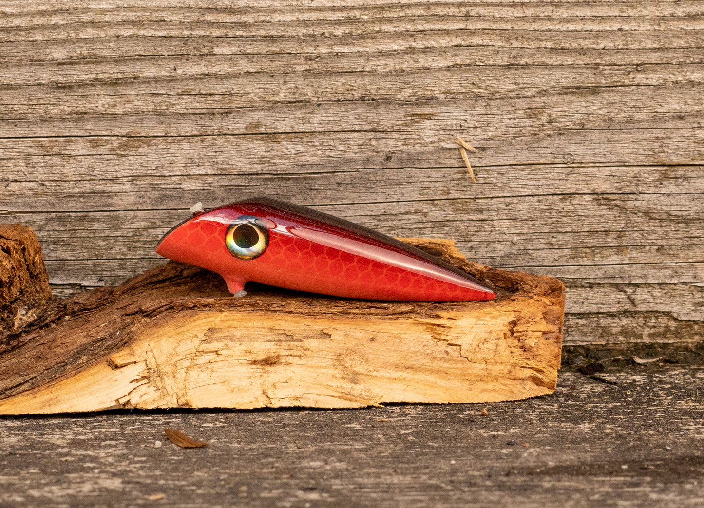 3.25 inch Custom - Chili Pepper 1 of 1