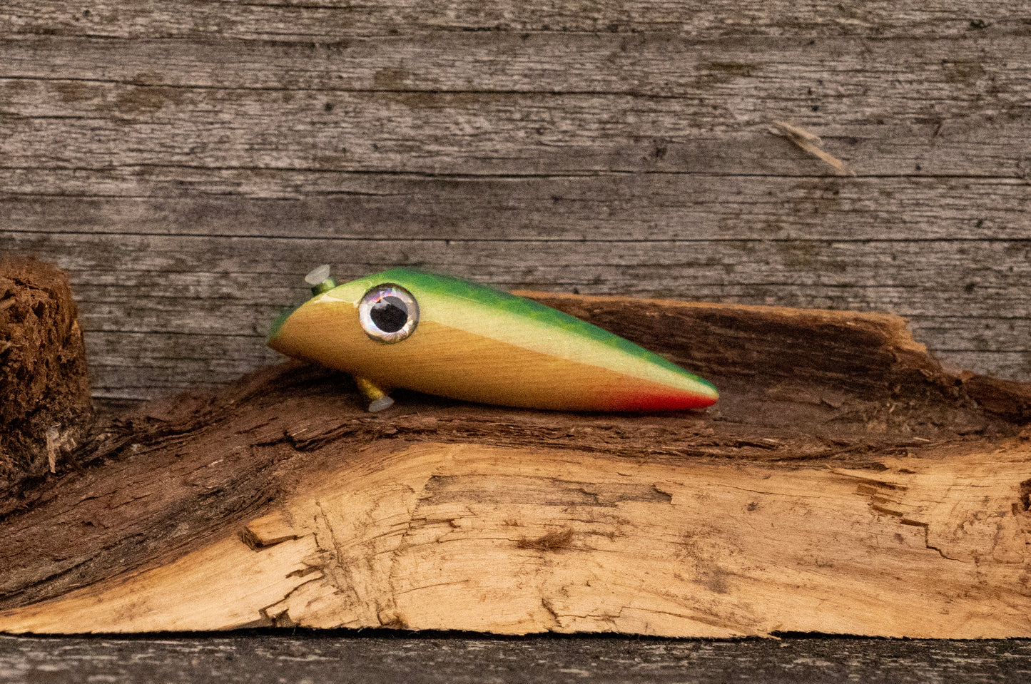 Extra Small Signature - Blue/green scale over wood grain and red tail with UV