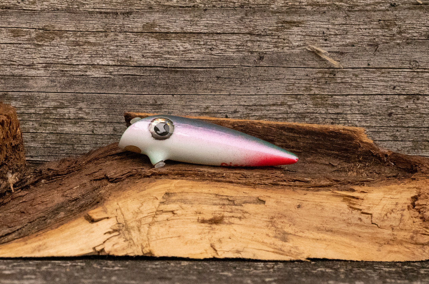 Extra Small Signature - Colour shifting blue scale back with pink stripe and red tail with UV
