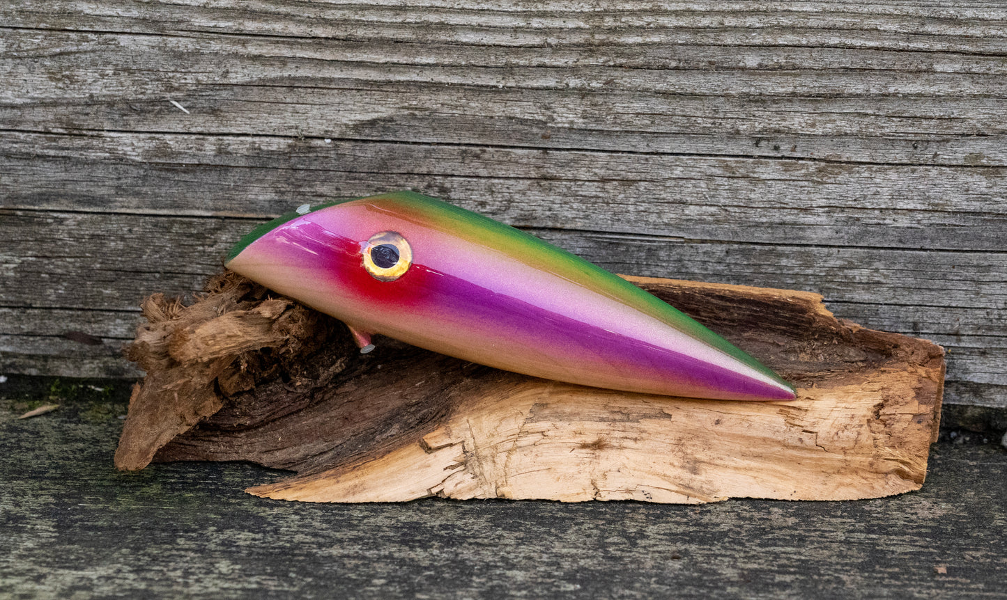 Medium Signature - Turquoise back with red eye and purple stripe over wood grain with UV