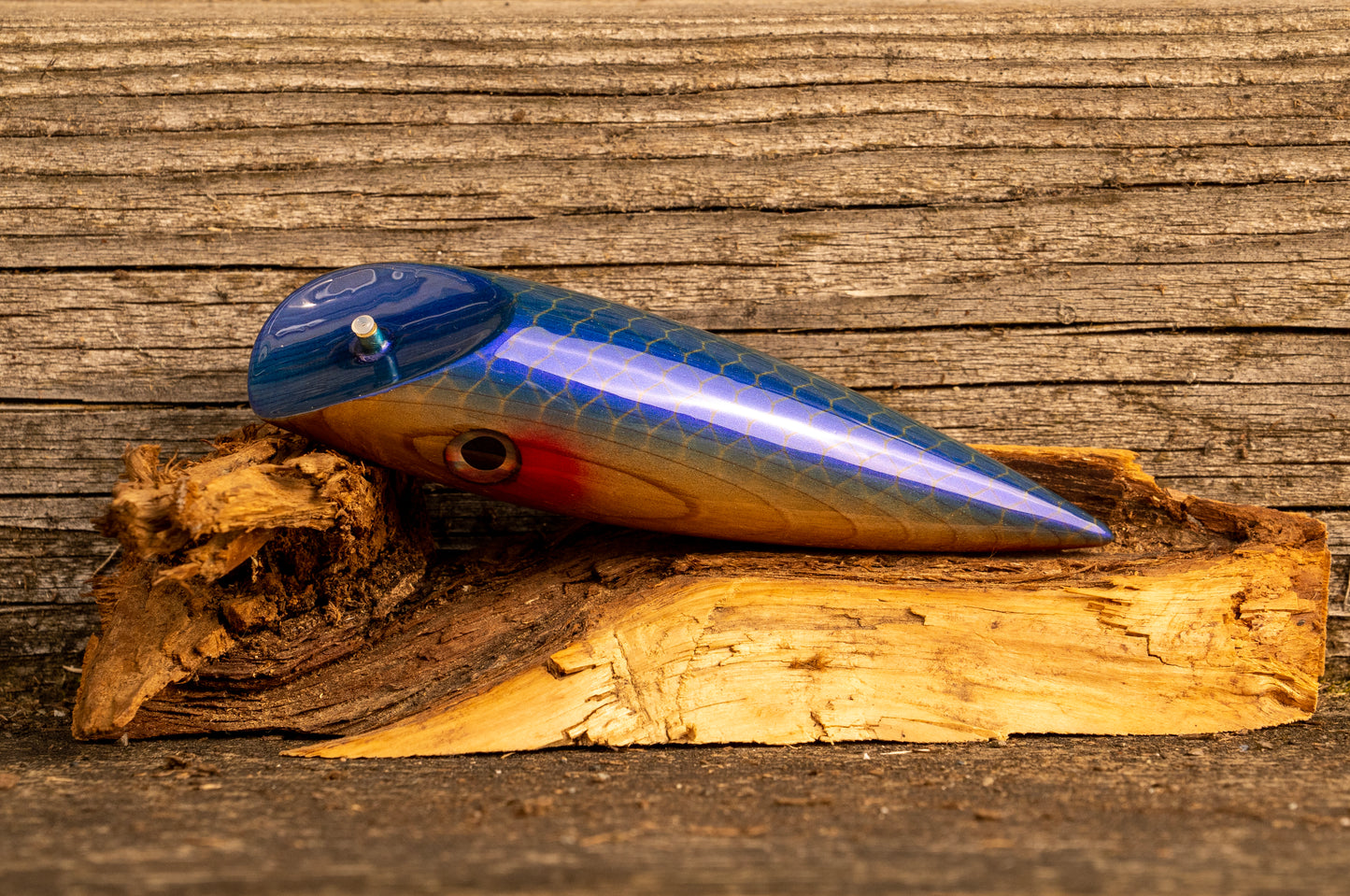 Medium Signature - Blue scale with red accents over woodgrain with UV