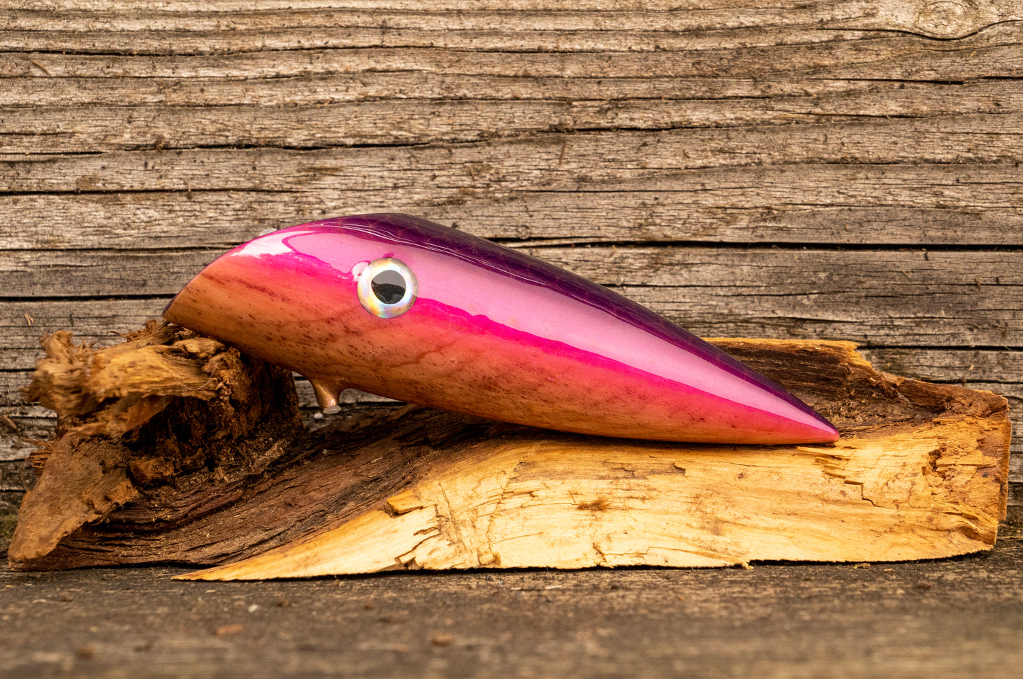 Medium Signature - Purple scale with pink stripe over yew burl with UV
