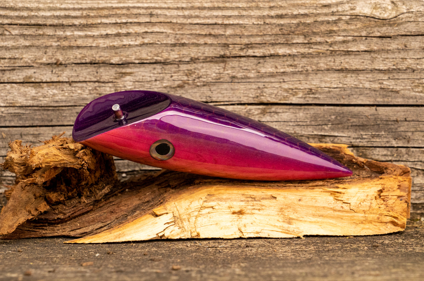 Medium Signature - Purple scale with pink stripe over yew burl with UV