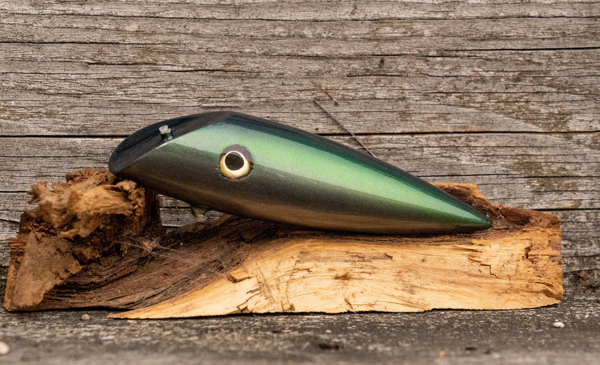 Medium Signature - Dark blue/green back with colour shift scale with UV