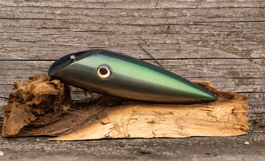 Medium Signature - Dark blue/green back with colour shift scale with UV