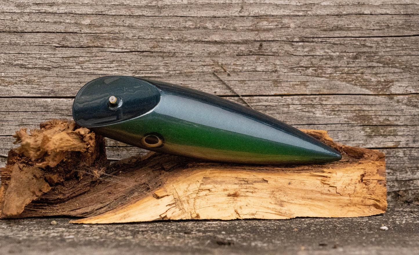 Medium Signature - Dark blue/green back with colour shift scale with UV